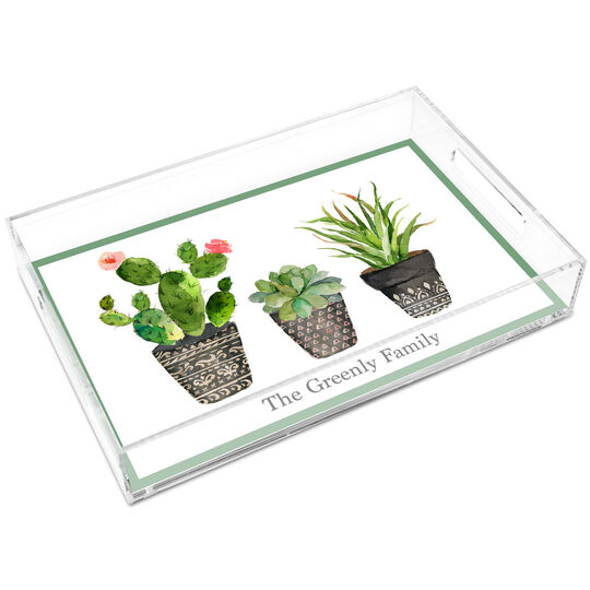 Southwest Potted Garden Lucite Tray